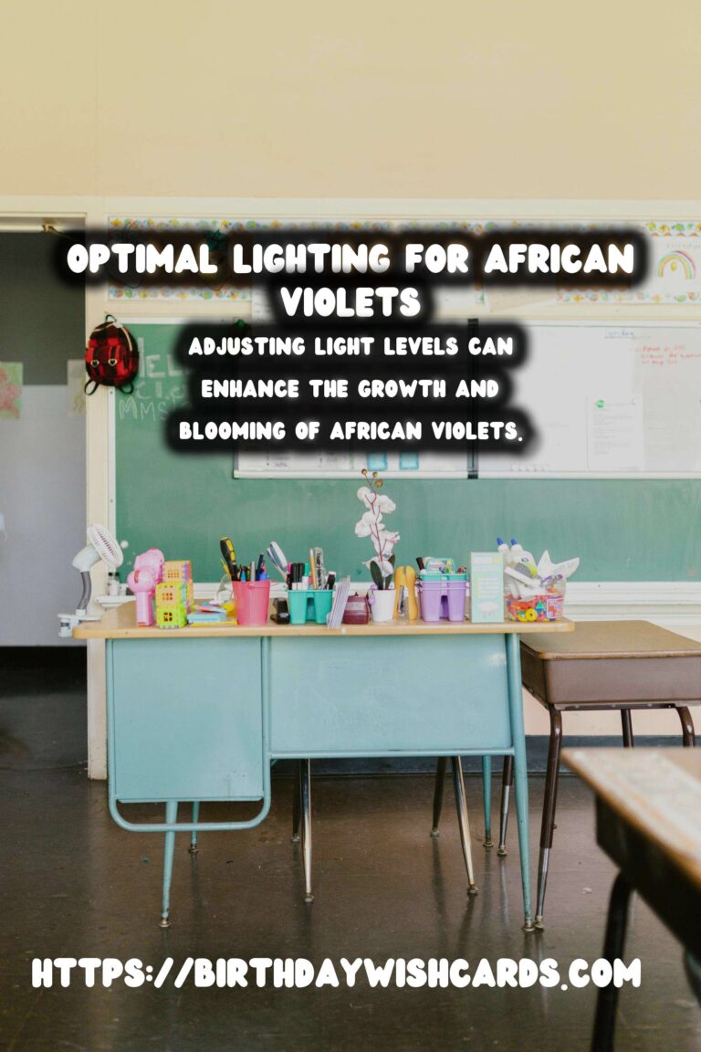 Optimal Lighting for African Violets to Enhance Blooming