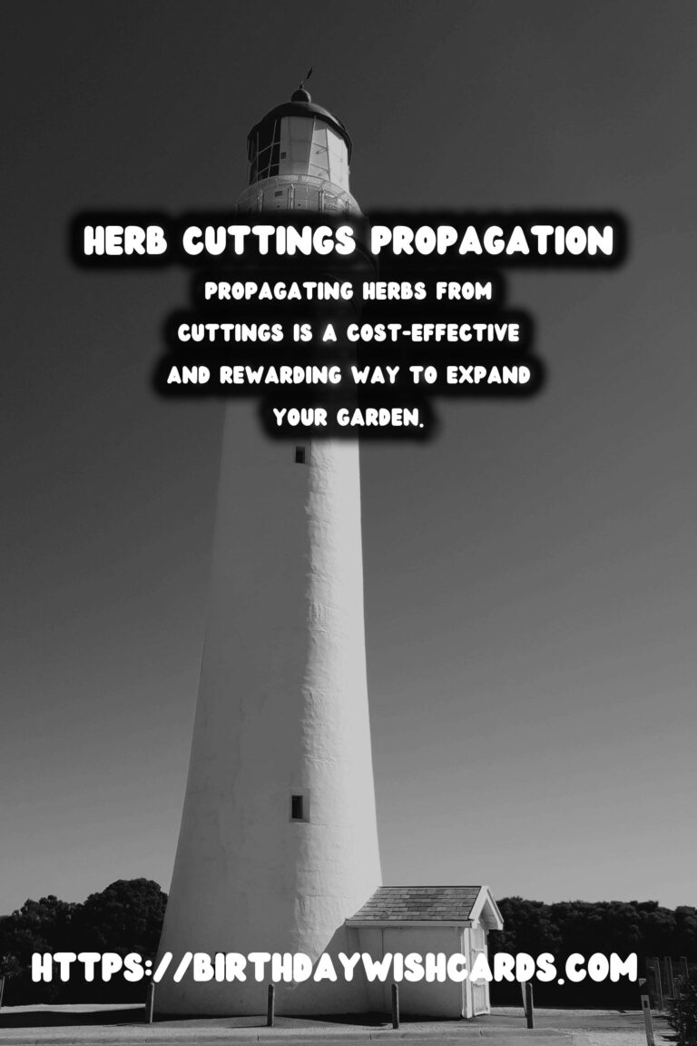 Propagating Herbs from Cuttings: An Easy Step-by-Step Method