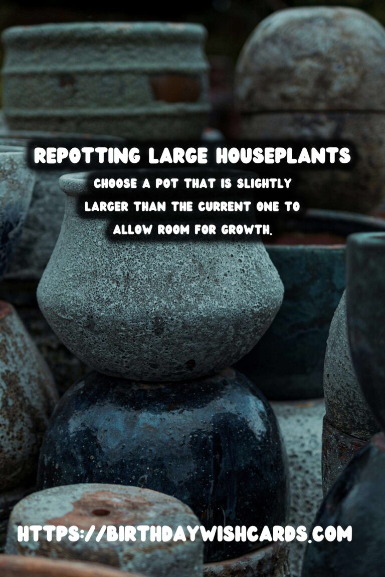 Repotting Large Houseplants: Tips & Tricks for a Successful Transition