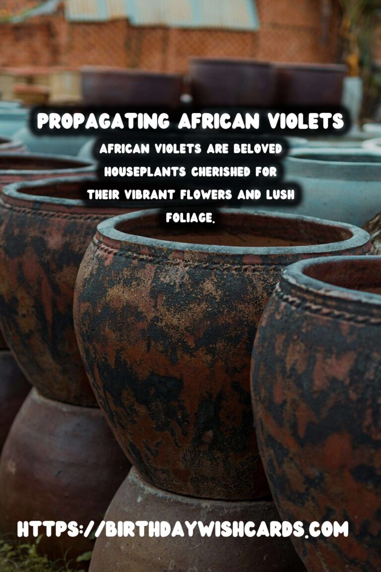 Simple Guide to Propagating African Violets for Beginners