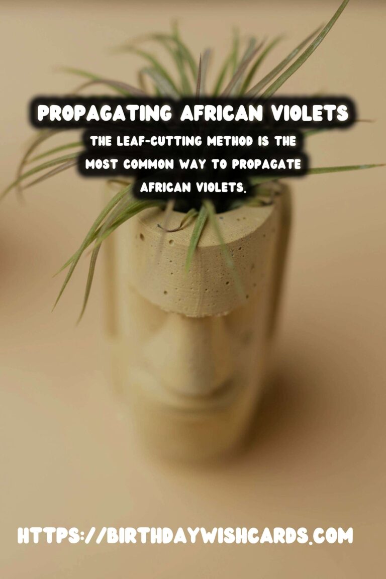 Simple Guide to Propagating African Violets for Beginners