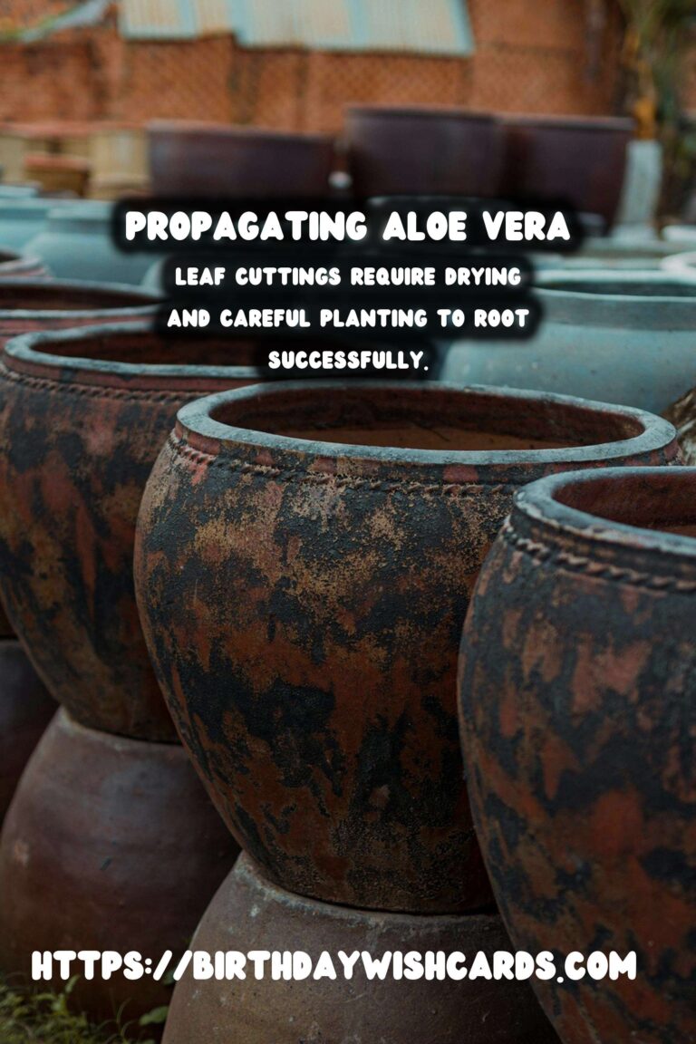 Simple Guide to Propagating Aloe Vera