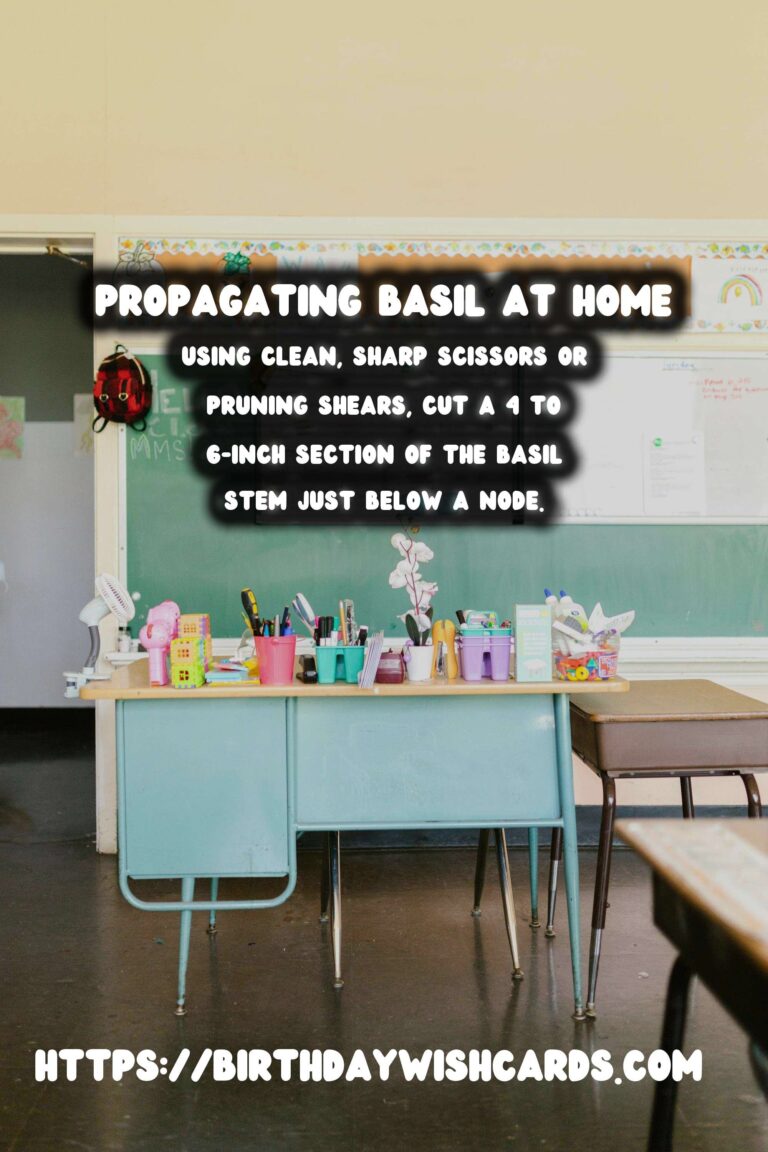 Simple Guide to Propagating Basil for a Thriving Herb Garden