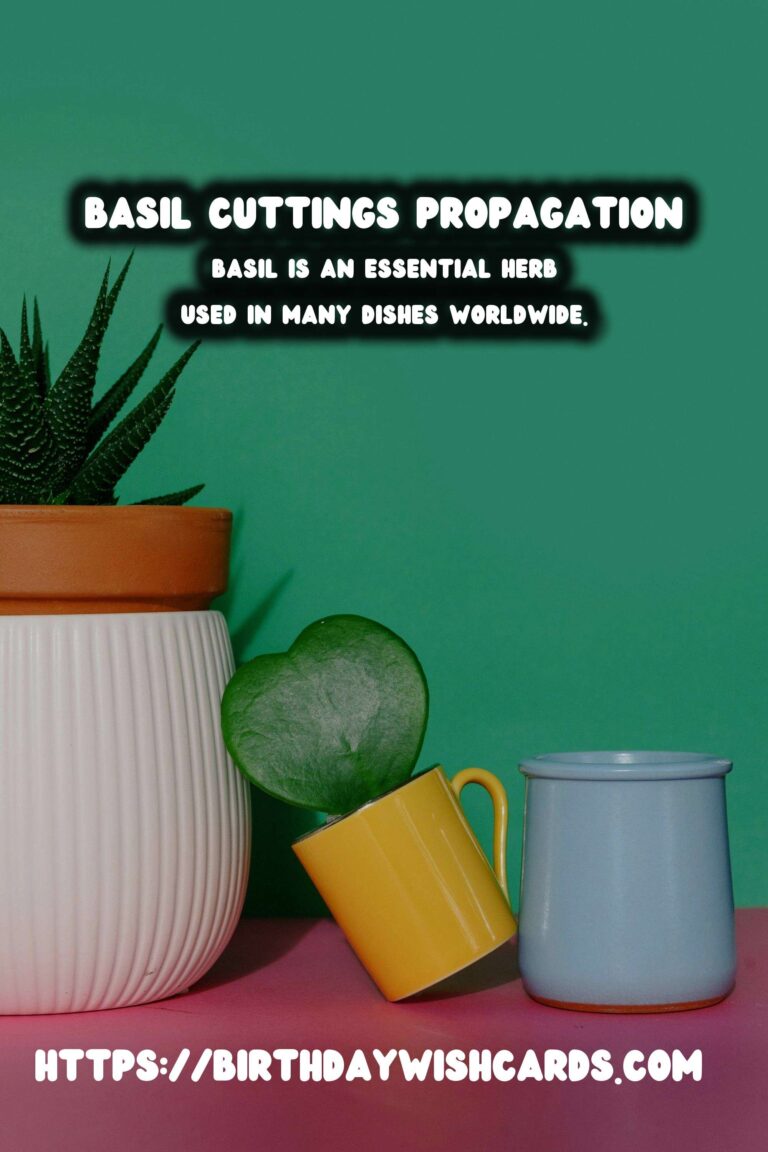 Simple Guide to Propagating Basil from Cuttings