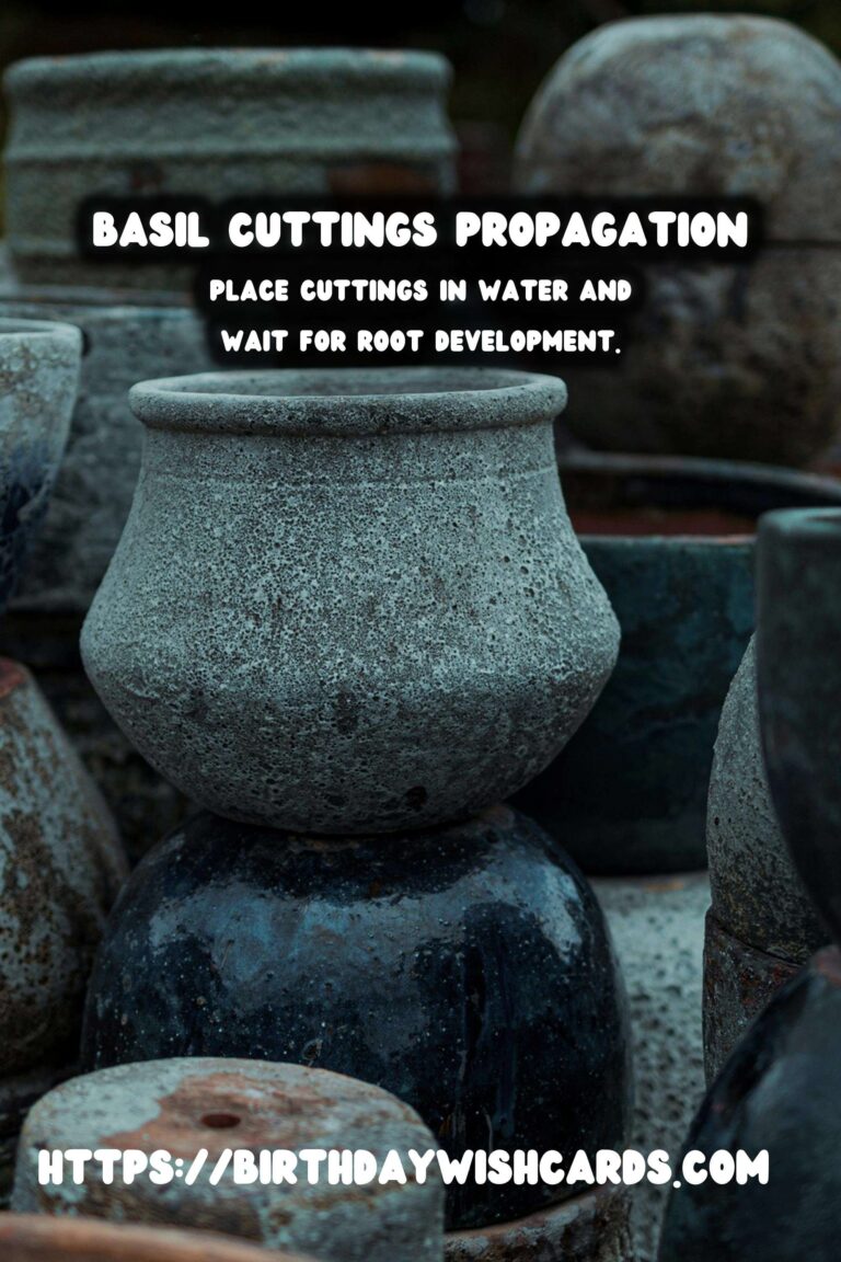 Simple Guide to Propagating Basil from Cuttings