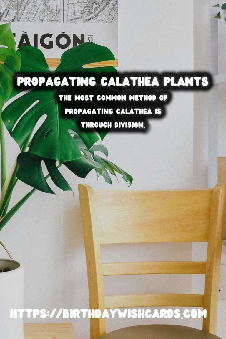 Simple Guide to Propagating Calathea Plants for Lush Indoor Growth