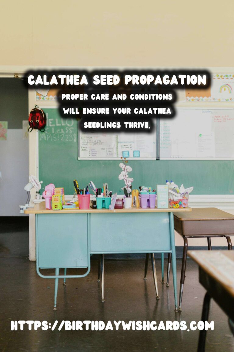 Simple Guide to Propagating Calathea from Seeds