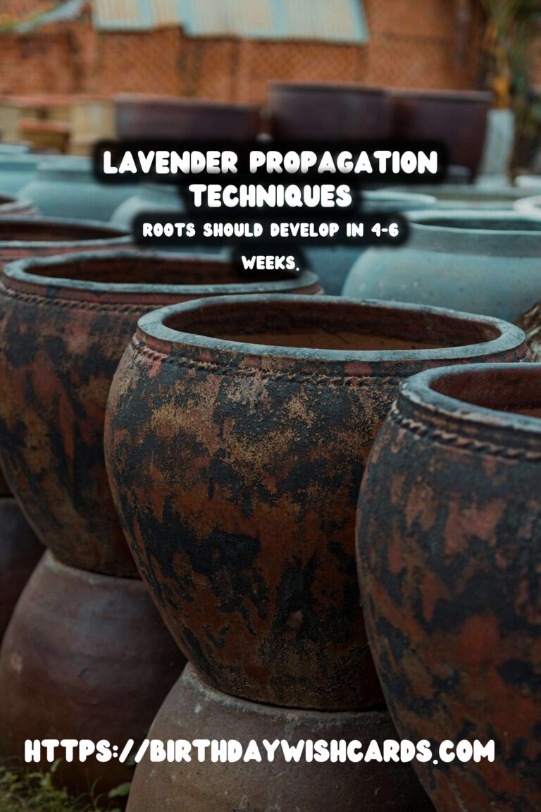 Simple Guide to Propagating Lavender for Beautiful Gardens