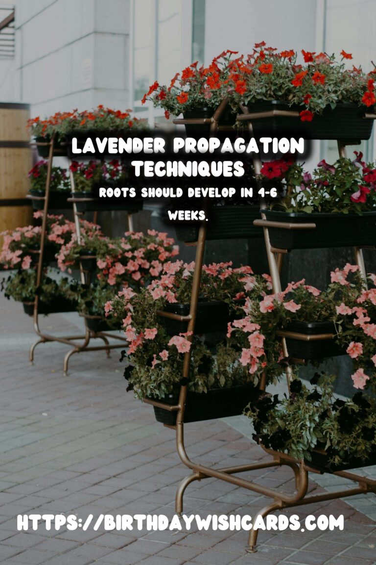 Simple Guide to Propagating Lavender for Beautiful Gardens