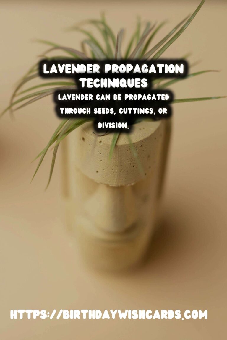 Simple Guide to Propagating Lavender for Beautiful Gardens
