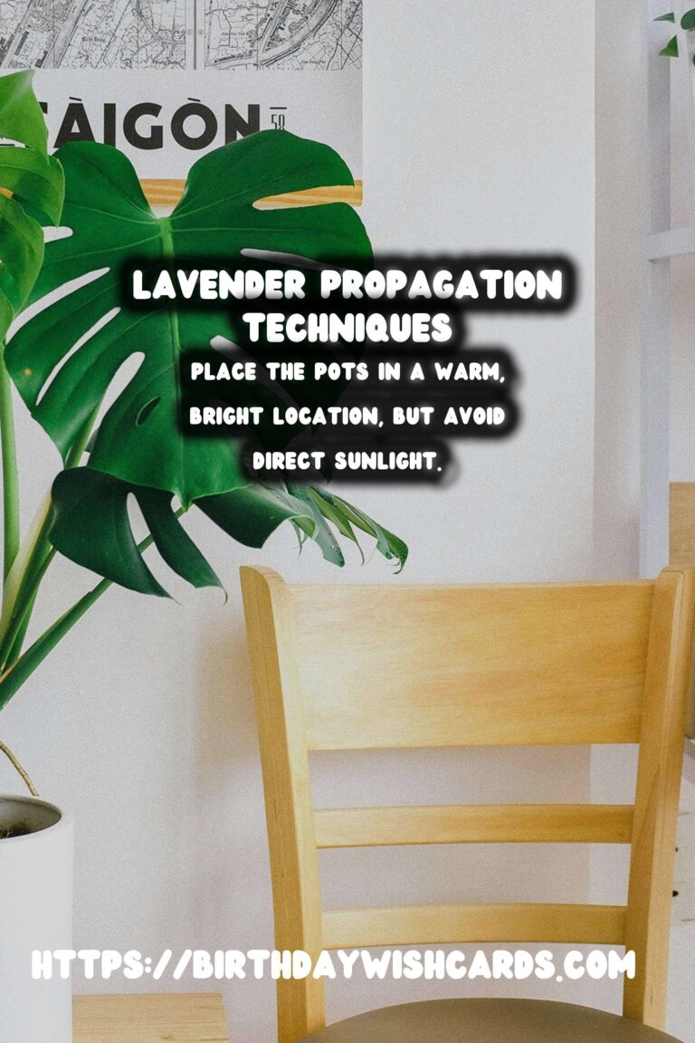 Simple Guide to Propagating Lavender for Beautiful Gardens