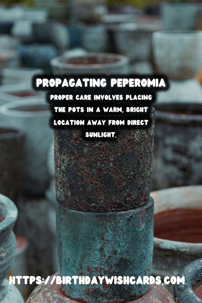 Simple Guide to Propagating Peperomia from Cuttings