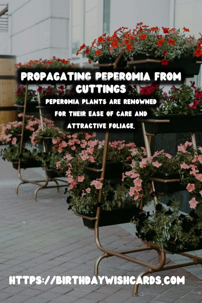 Simple Guide to Propagating Peperomia from Stem Cuttings for Thriving Houseplants
