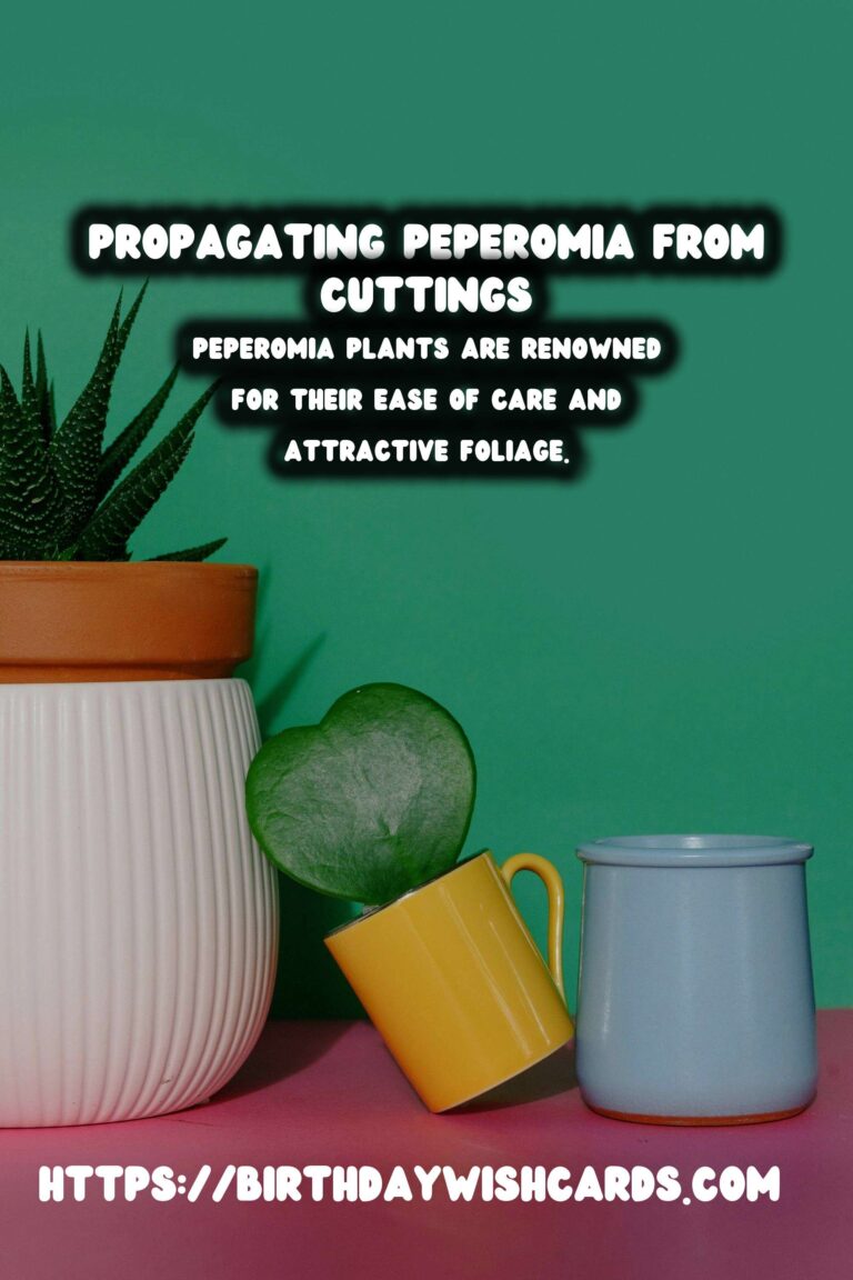 Simple Guide to Propagating Peperomia from Stem Cuttings for Thriving Houseplants