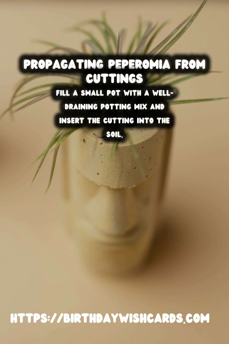 Simple Guide to Propagating Peperomia from Stem Cuttings for Thriving Houseplants