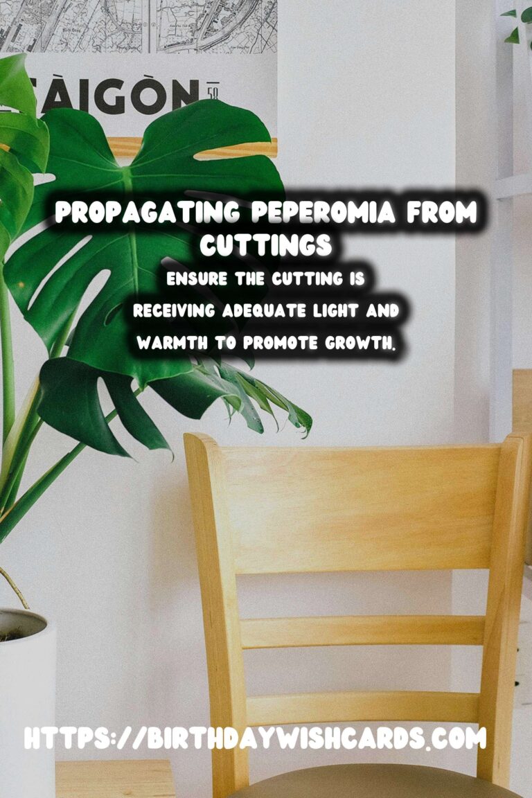 Simple Guide to Propagating Peperomia from Stem Cuttings for Thriving Houseplants