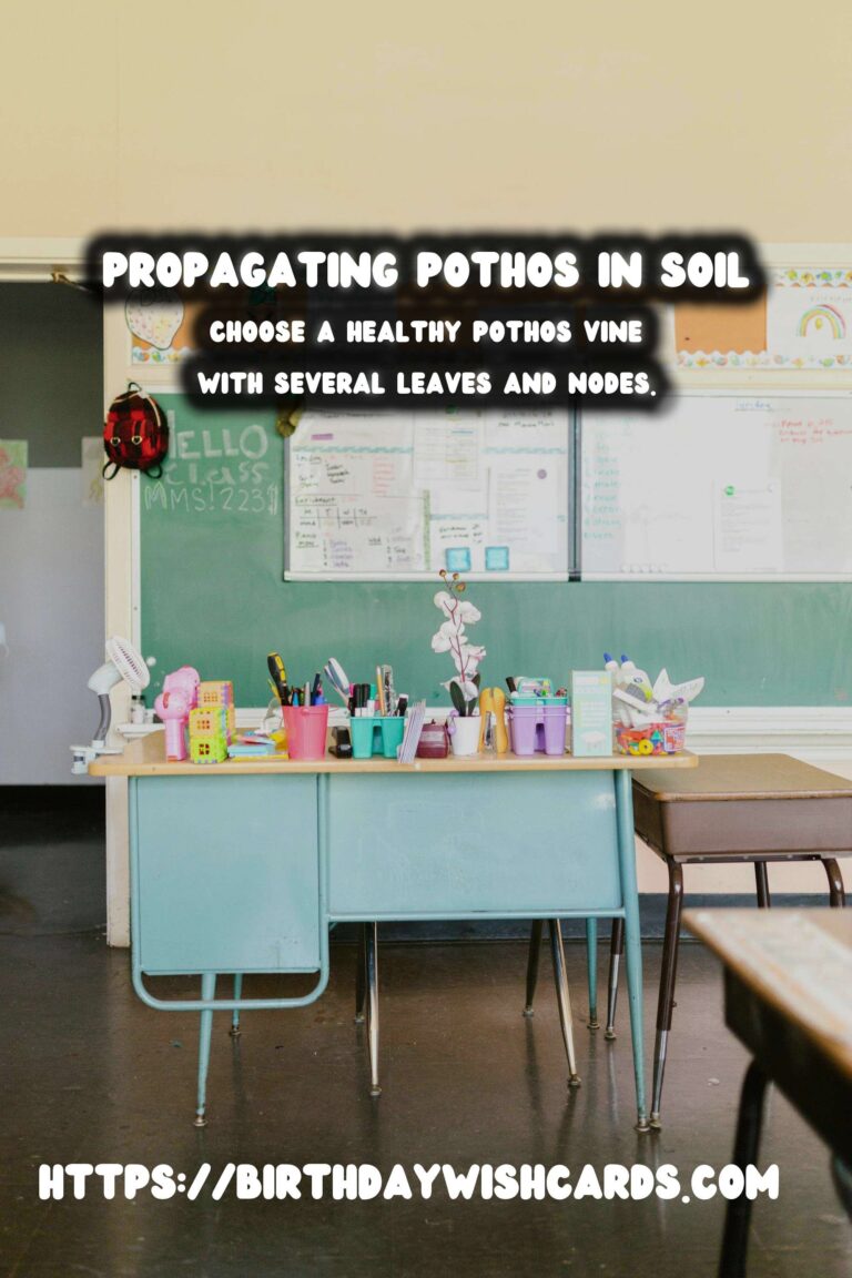 Simple Guide to Propagating Pothos in Soil