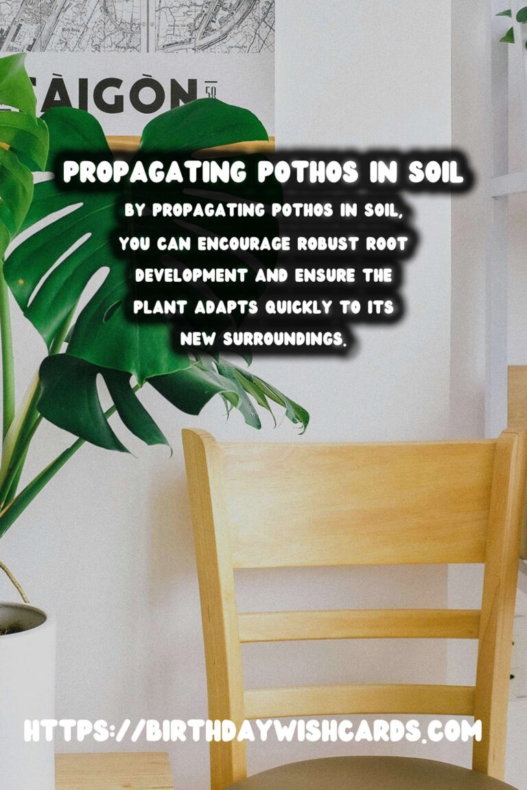 Simple Guide to Propagating Pothos in Soil