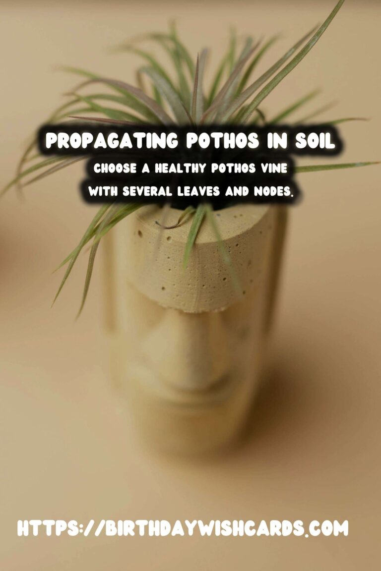 Simple Guide to Propagating Pothos in Soil