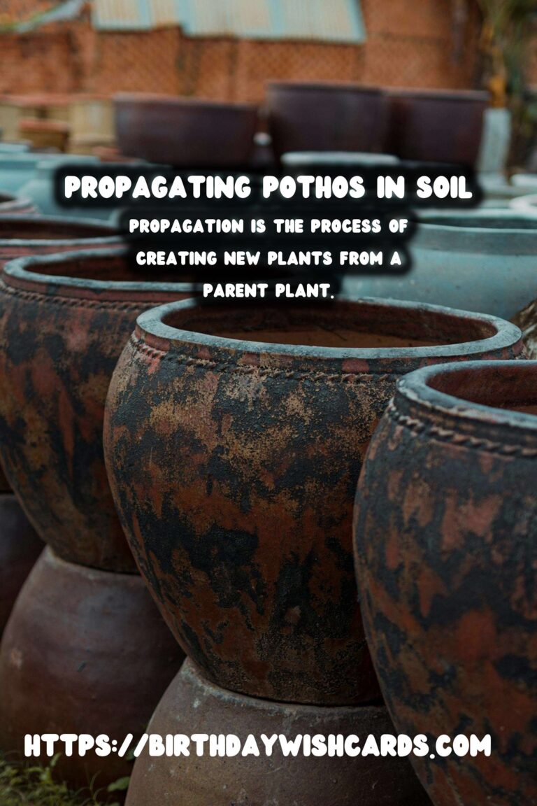 Simple Guide to Propagating Pothos in Soil