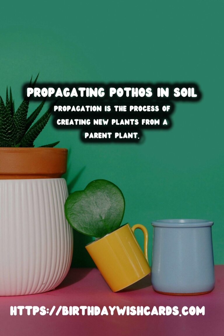 Simple Guide to Propagating Pothos in Soil