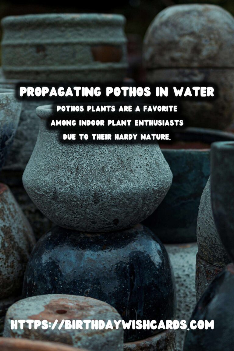 Simple Guide to Propagating Pothos in Water for Thriving Indoor Plants