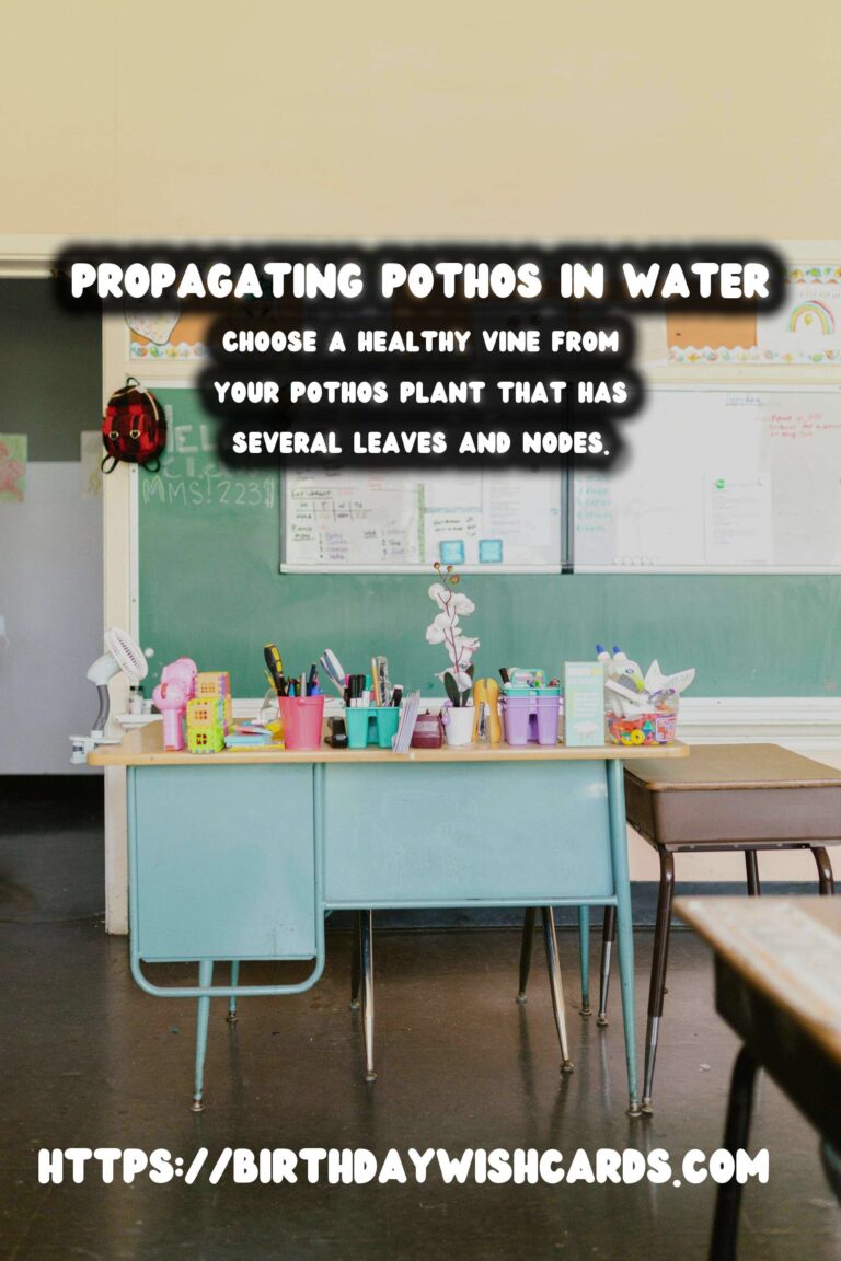 Simple Guide to Propagating Pothos in Water for Thriving Indoor Plants