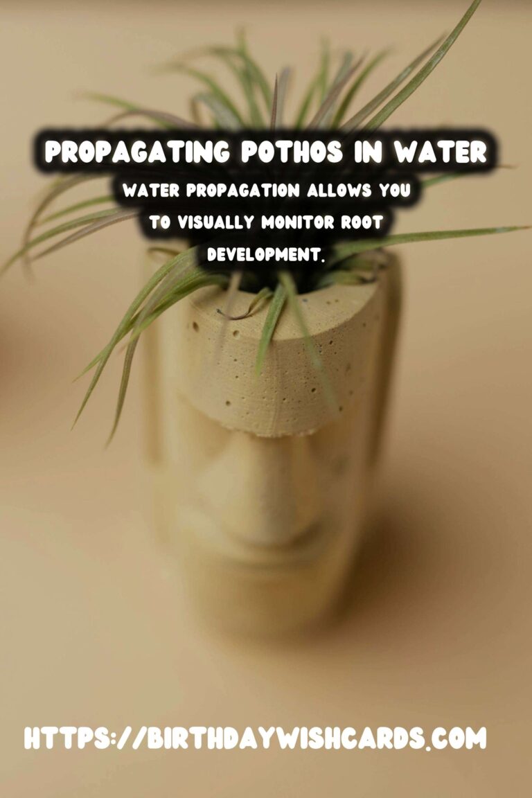 Simple Guide to Propagating Pothos in Water for Thriving Indoor Plants
