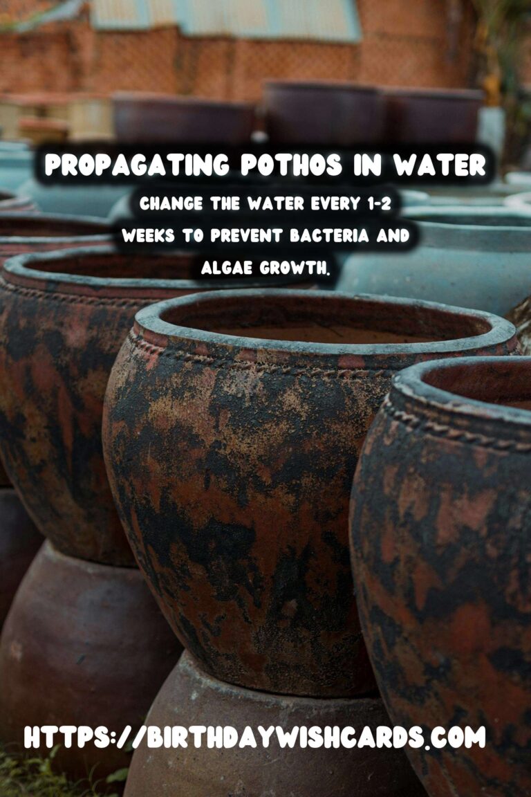 Simple Guide to Propagating Pothos in Water for Thriving Indoor Plants