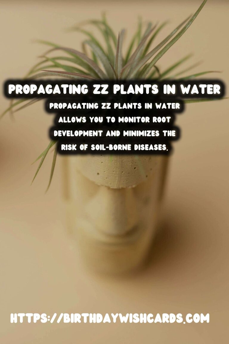 Simple Guide to Propagating ZZ Plants in Water