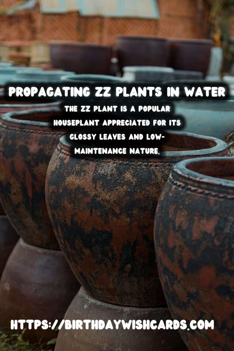 Simple Guide to Propagating ZZ Plants in Water