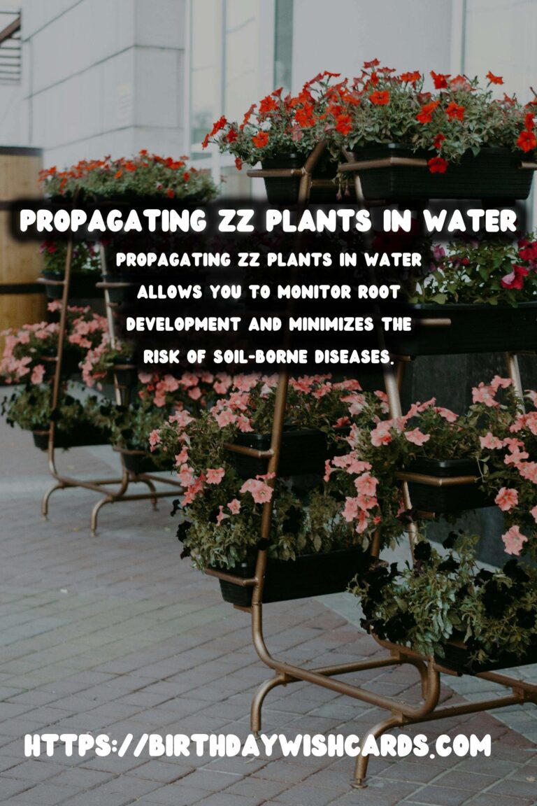 Simple Guide to Propagating ZZ Plants in Water
