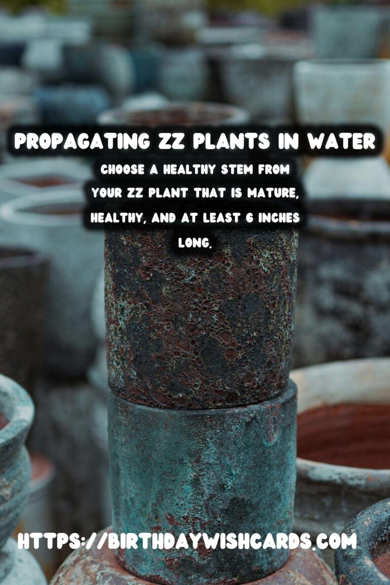 Simple Guide to Propagating ZZ Plants in Water