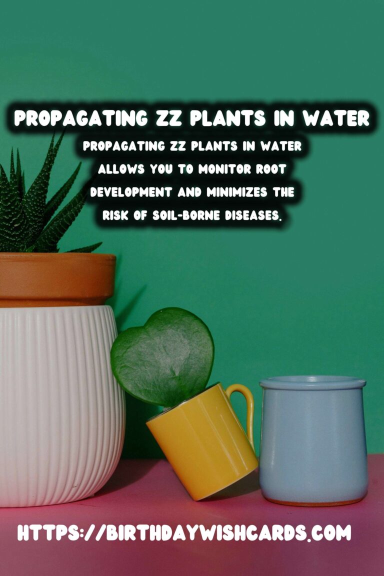 Simple Guide to Propagating ZZ Plants in Water
