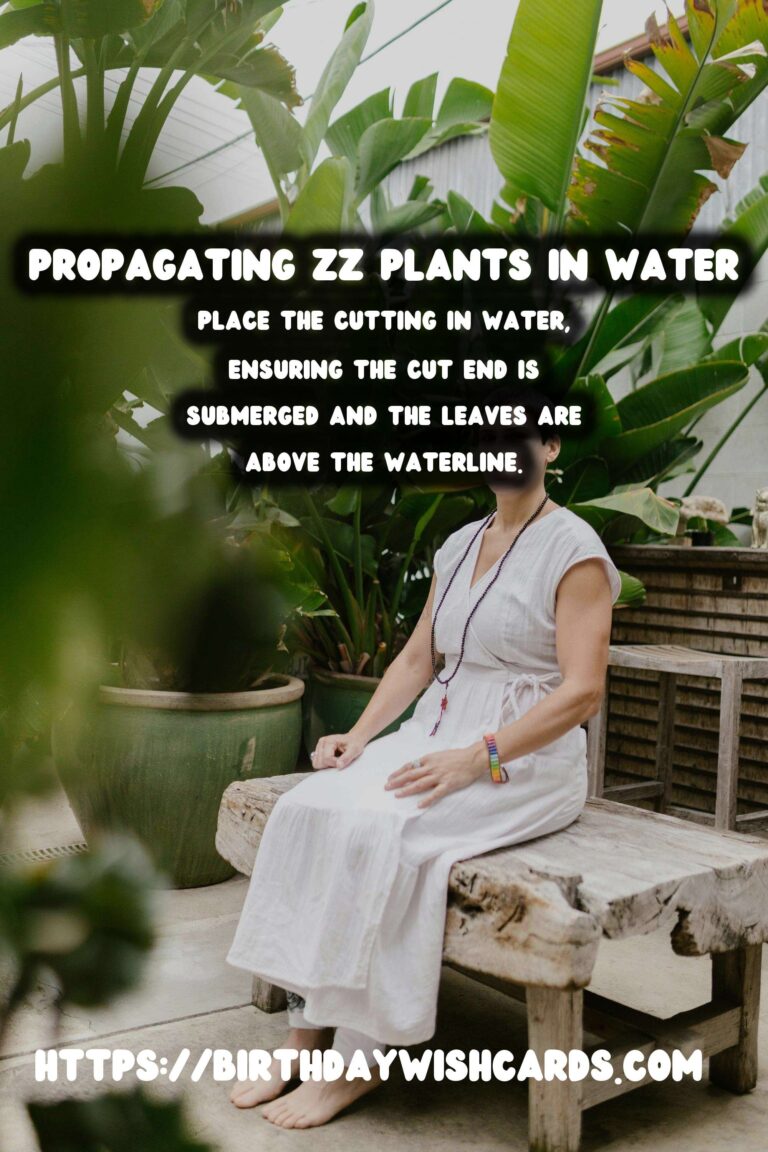 Simple Guide to Propagating ZZ Plants in Water
