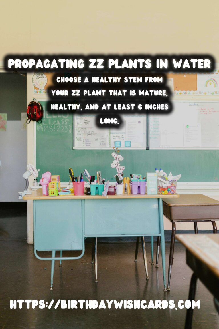 Simple Guide to Propagating ZZ Plants in Water