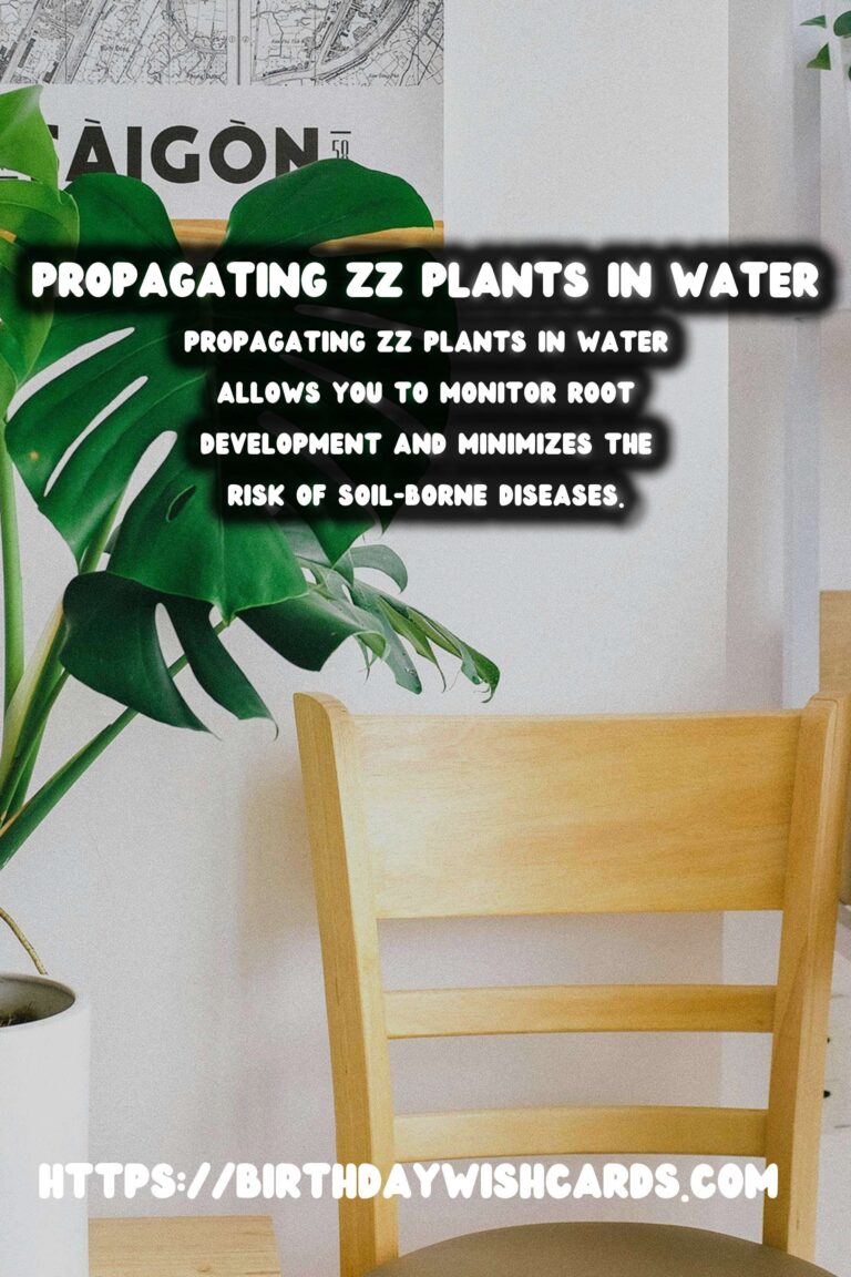 Simple Guide to Propagating ZZ Plants in Water