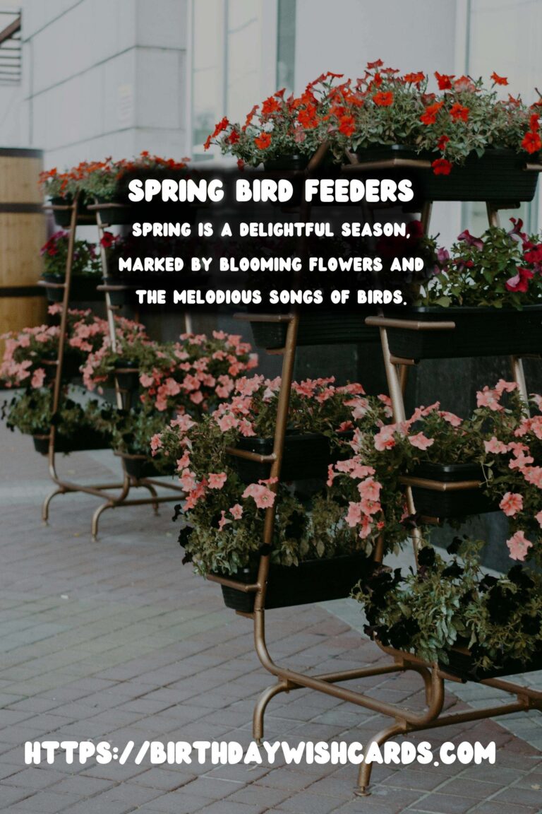Spring Bird Feeders: Attracting Wildlife to Your Garden
