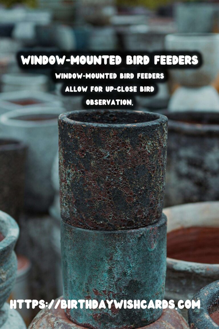 Spring Bird Feeders: Window Mount for Bird Watching Delight