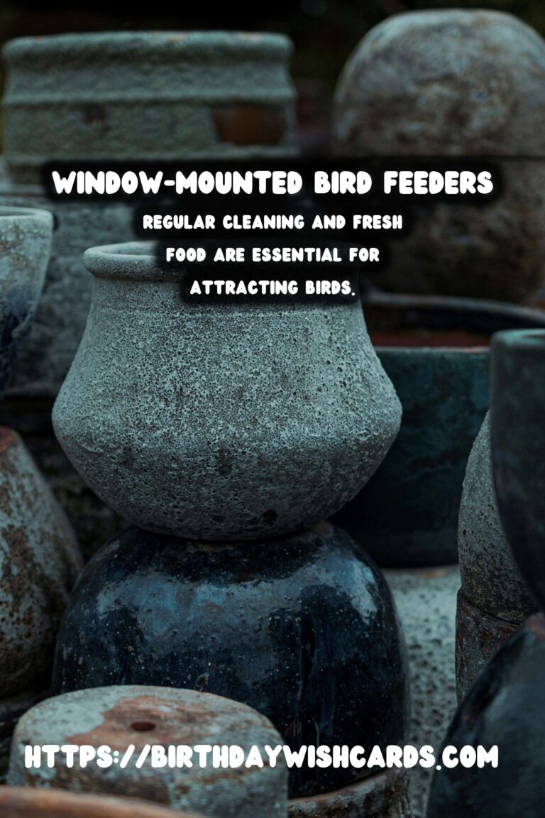 Spring Bird Feeders: Window Mount for Bird Watching Delight