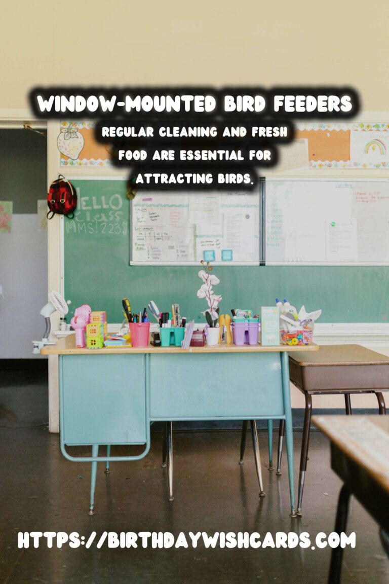 Spring Bird Feeders: Window Mount for Bird Watching Delight