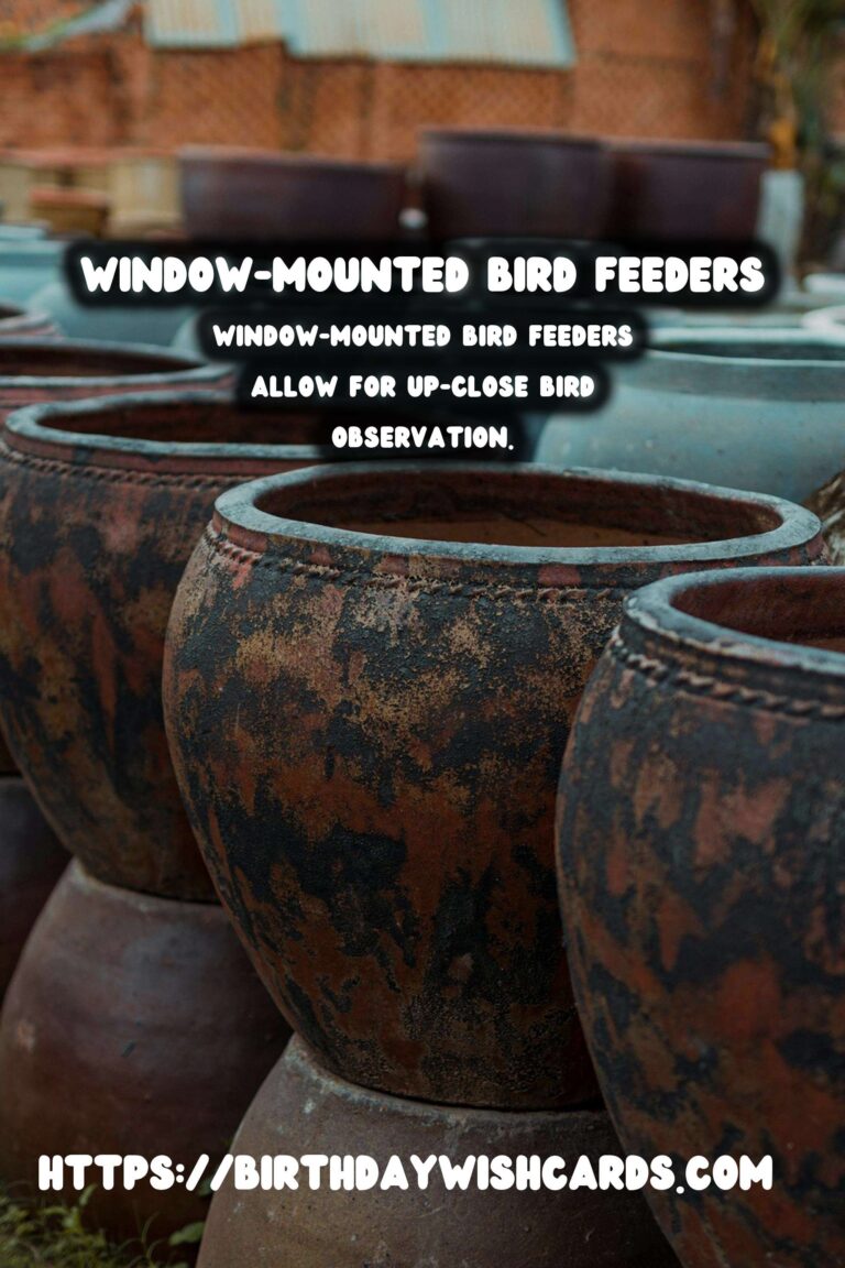 Spring Bird Feeders: Window Mount for Bird Watching Delight