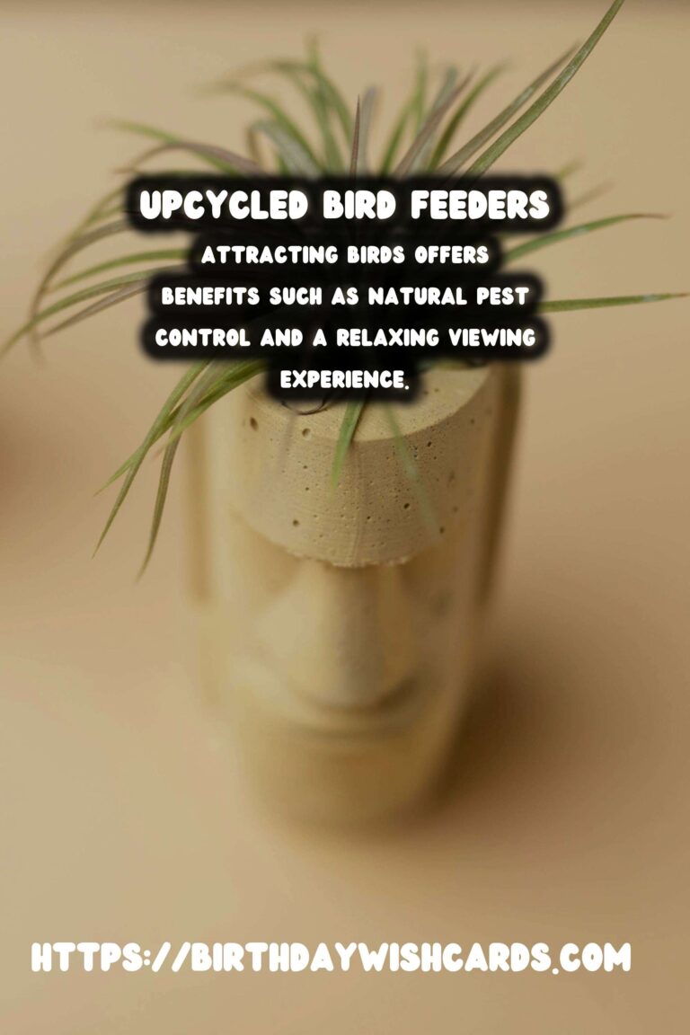 Spring Birdhouses: Upcycled Bird Feeders for a Sustainable Garden