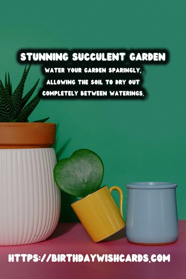 Spring Planter Ideas: Create a Stunning Succulent Garden