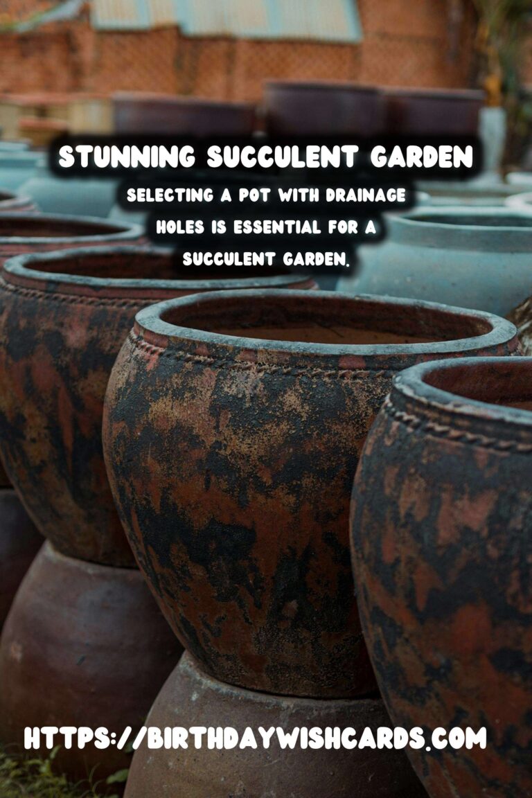 Spring Planter Ideas: Create a Stunning Succulent Garden