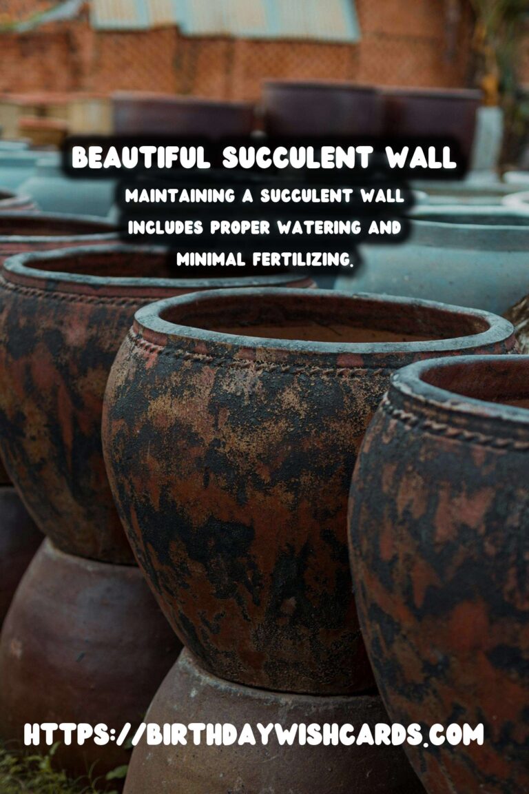 Spring Planter Ideas: Succulent Walls to Transform Your Space