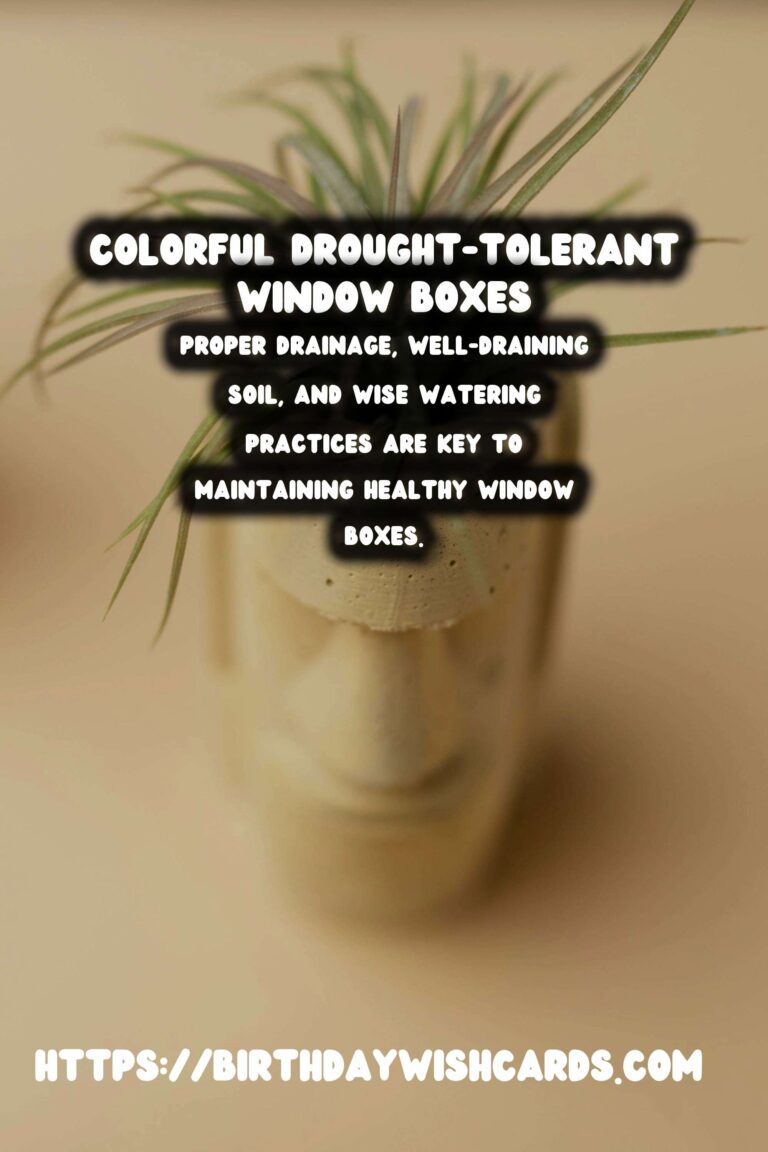 Spring Window Boxes: Best Drought-Tolerant Plants for a Vibrant Display