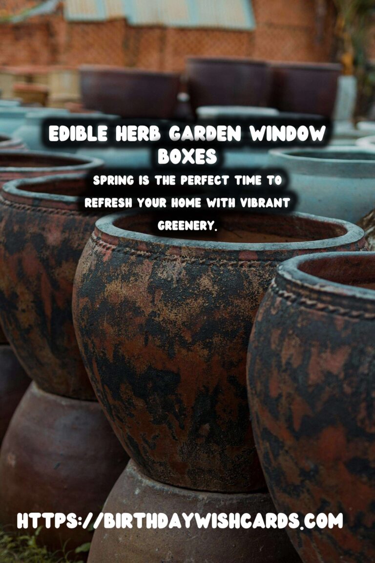Spring Window Boxes: How to Create an Edible Herb Garden