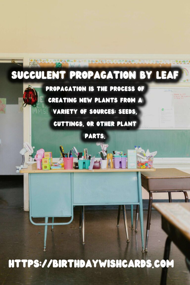 Succulent Propagation by Leaf: A Full Guide