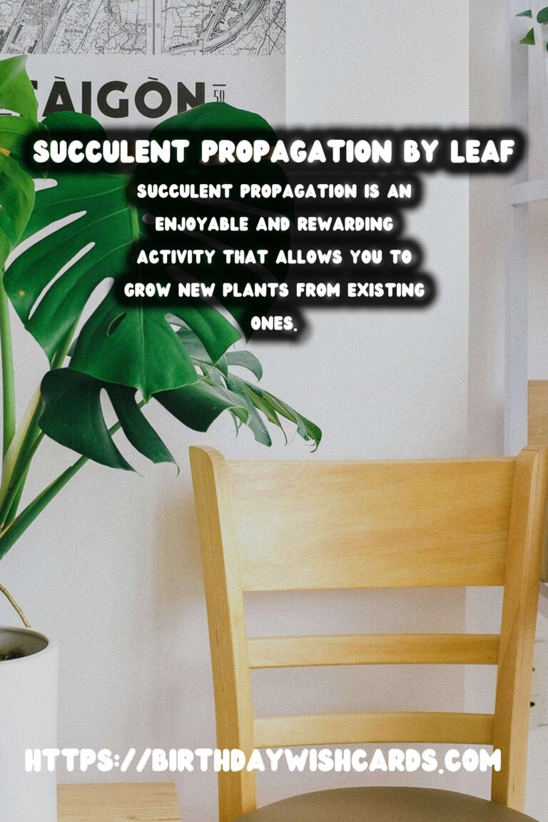 Succulent Propagation by Leaf: A Full Guide
